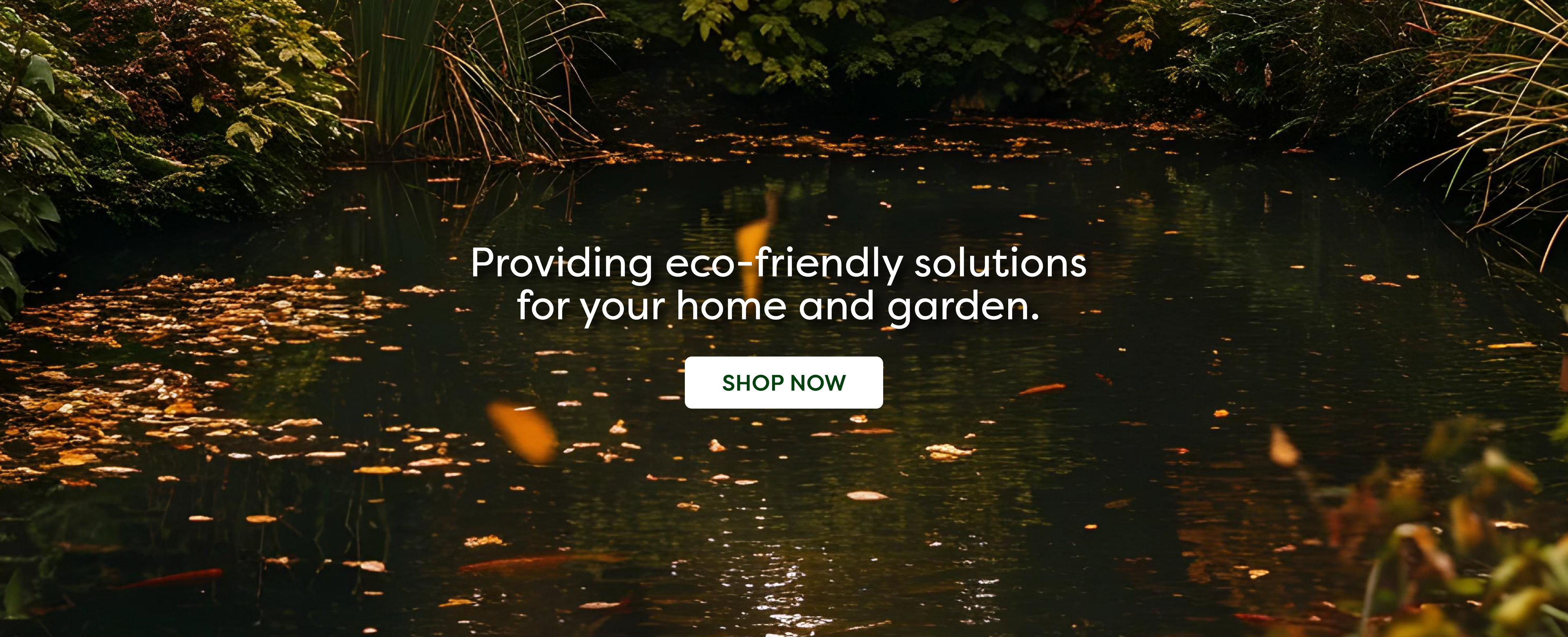Providing eco-friendly solutions for your home and garden.