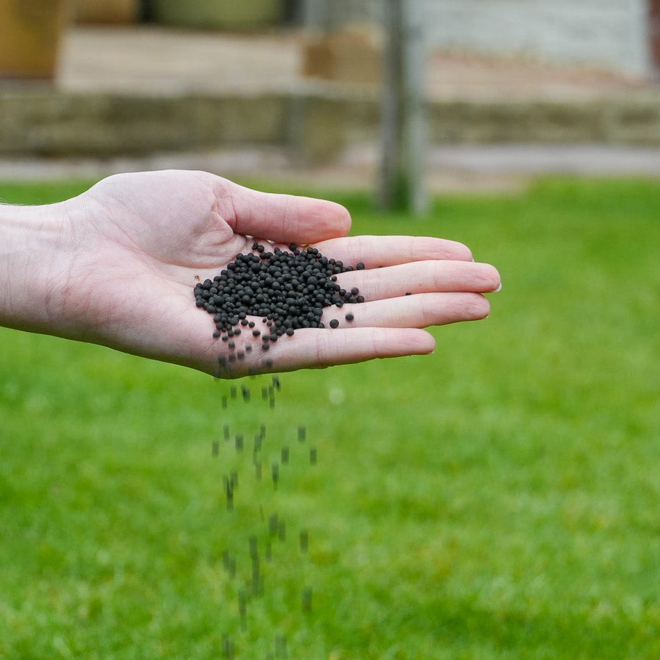 Granular Lawn Feed