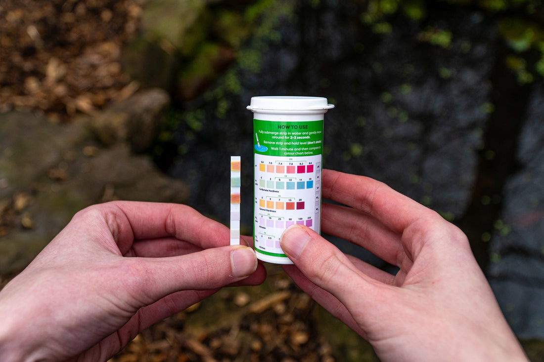 What Are The Ideal Pond Water Parameters? – envii