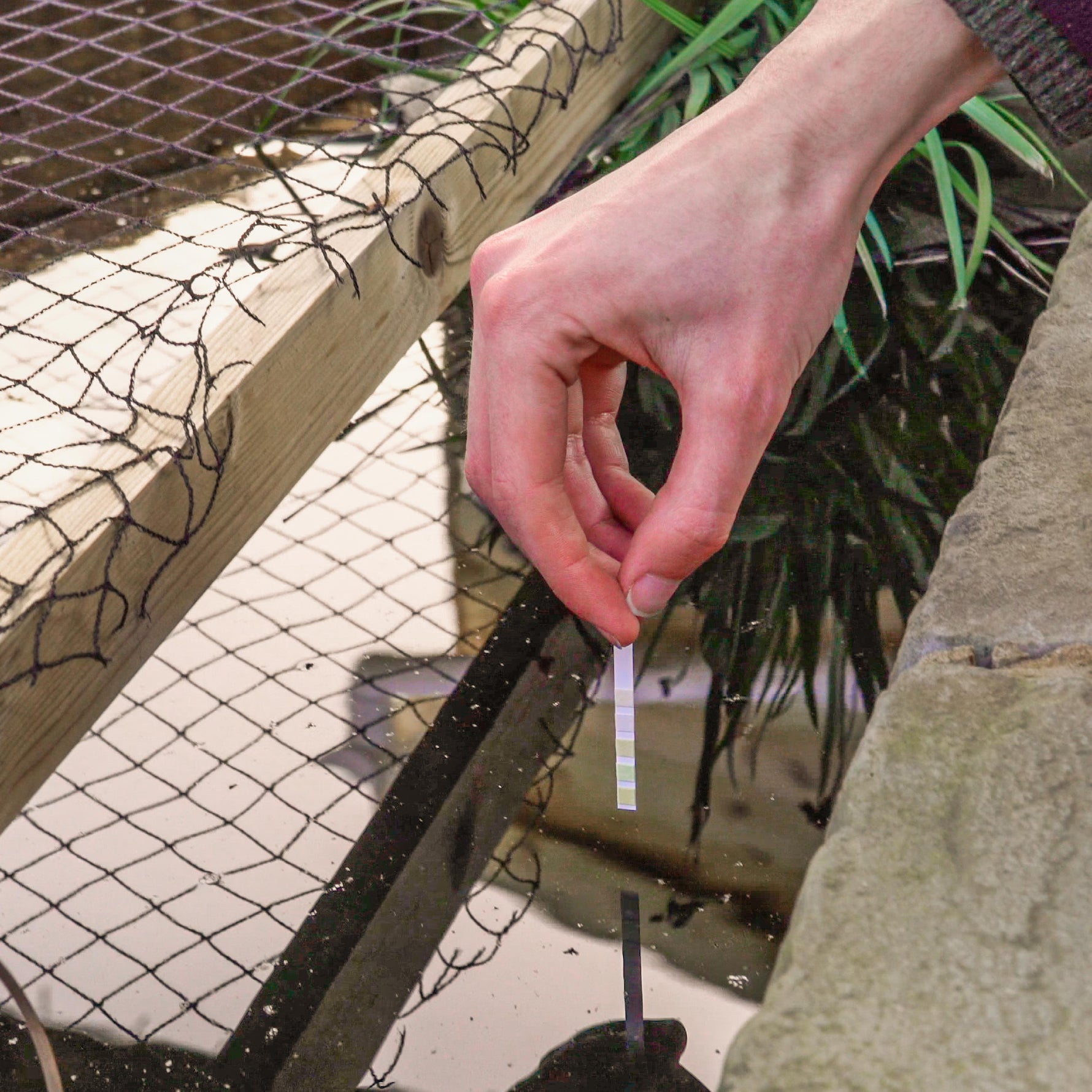 Testing the water with the 5-in-1 test strips.