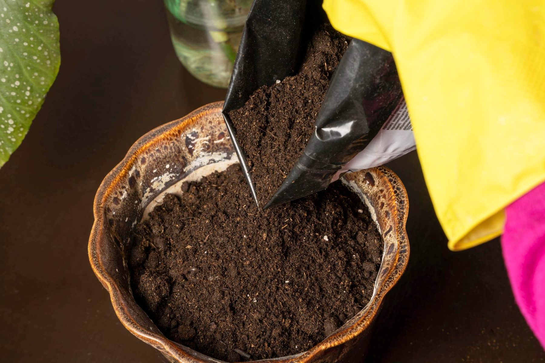 Gardeners Should Use Multi-Purpose Compost with Caution • Envii