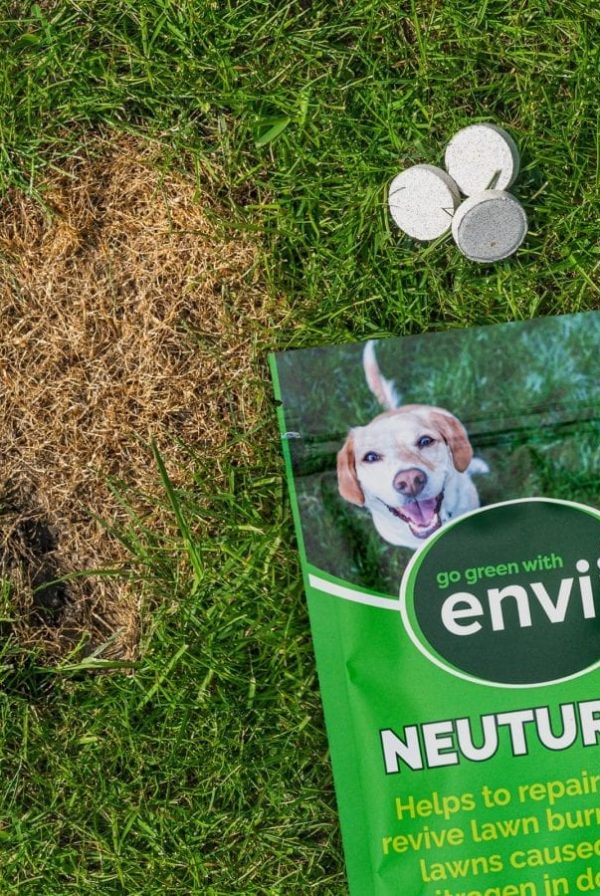 Envii Neuturine packet and tablets - dog urine spot treatment from Envii