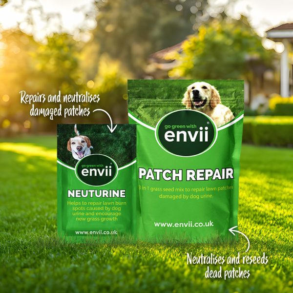 Neuturine and Patch Repair