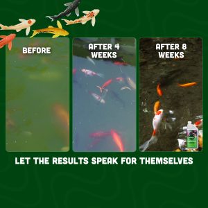 Results from using Pond Klear in a fish pond.