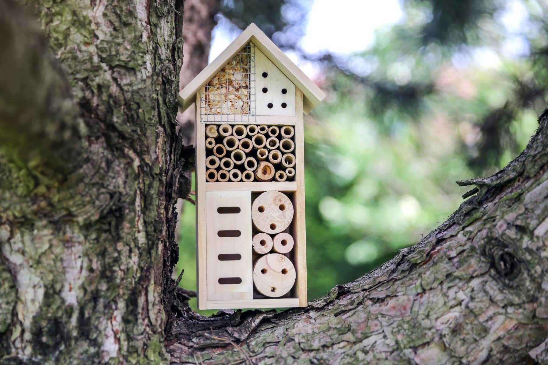 How to Build a Bug Hotel in 5 Steps • Envii