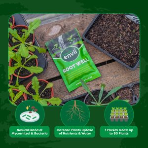 Root Well - Mycorrhizal Fungi