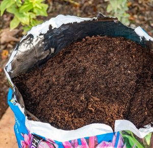 Bagged compost - When to feed plants