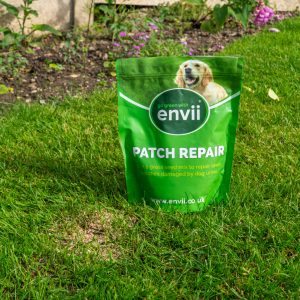 Lifestyle image of patch repair with grass urine lawn burn.