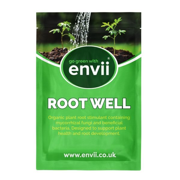 Root Well Front