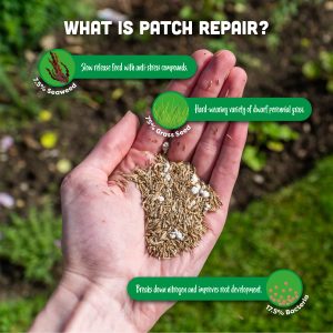 What is patch repair? 75% grass seed, 17.5% seaweed & 7.5% bacteria.